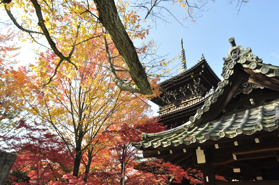 真如堂 三重塔 紅葉