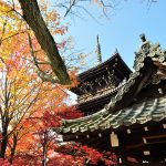 京都の秋を探しに、紅葉が綺麗な真如堂。2014年11月23日