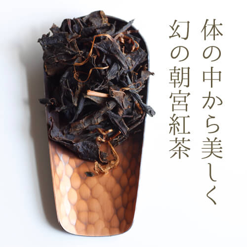 ほうじ茶アイス